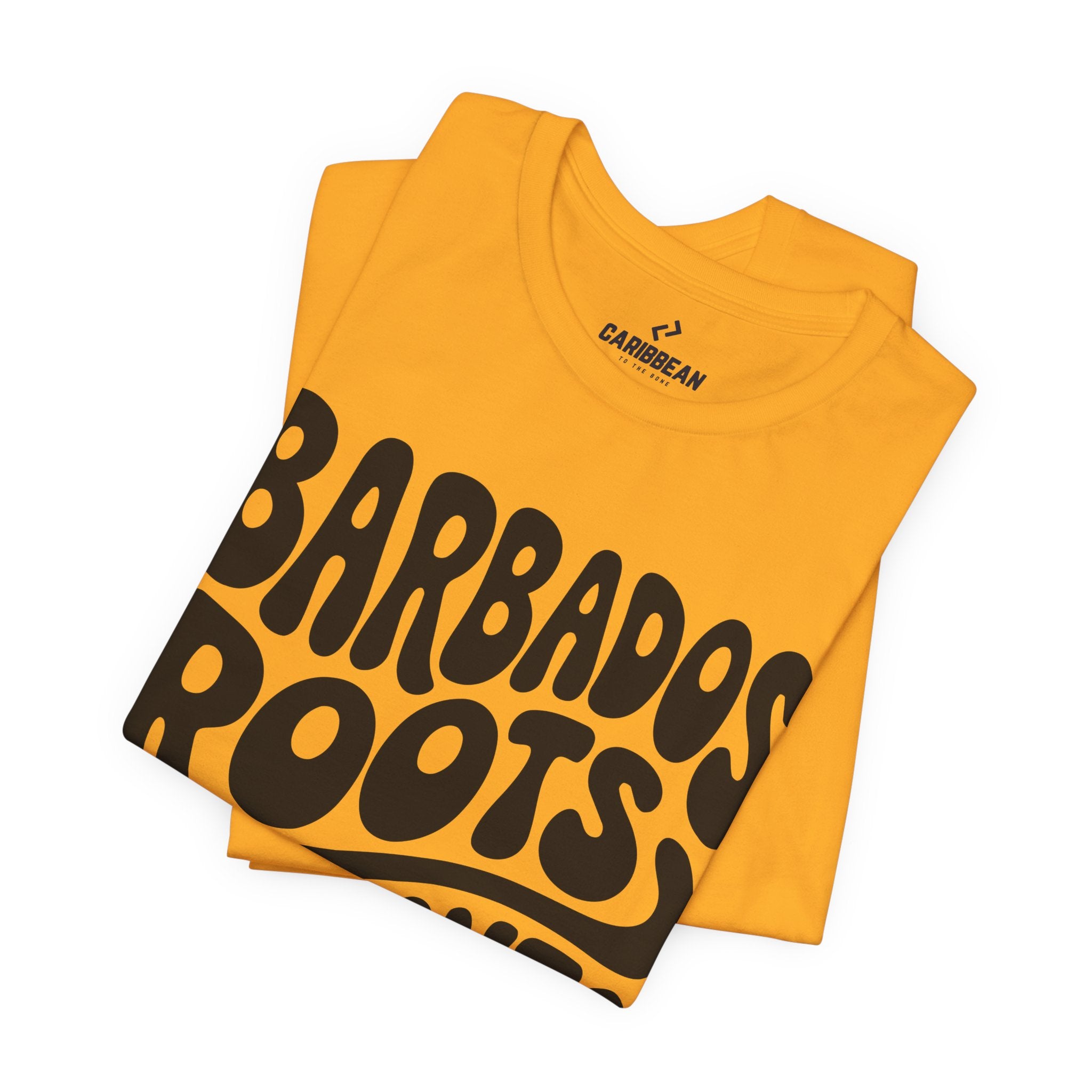 Barbados Roots // Toronto Streets
