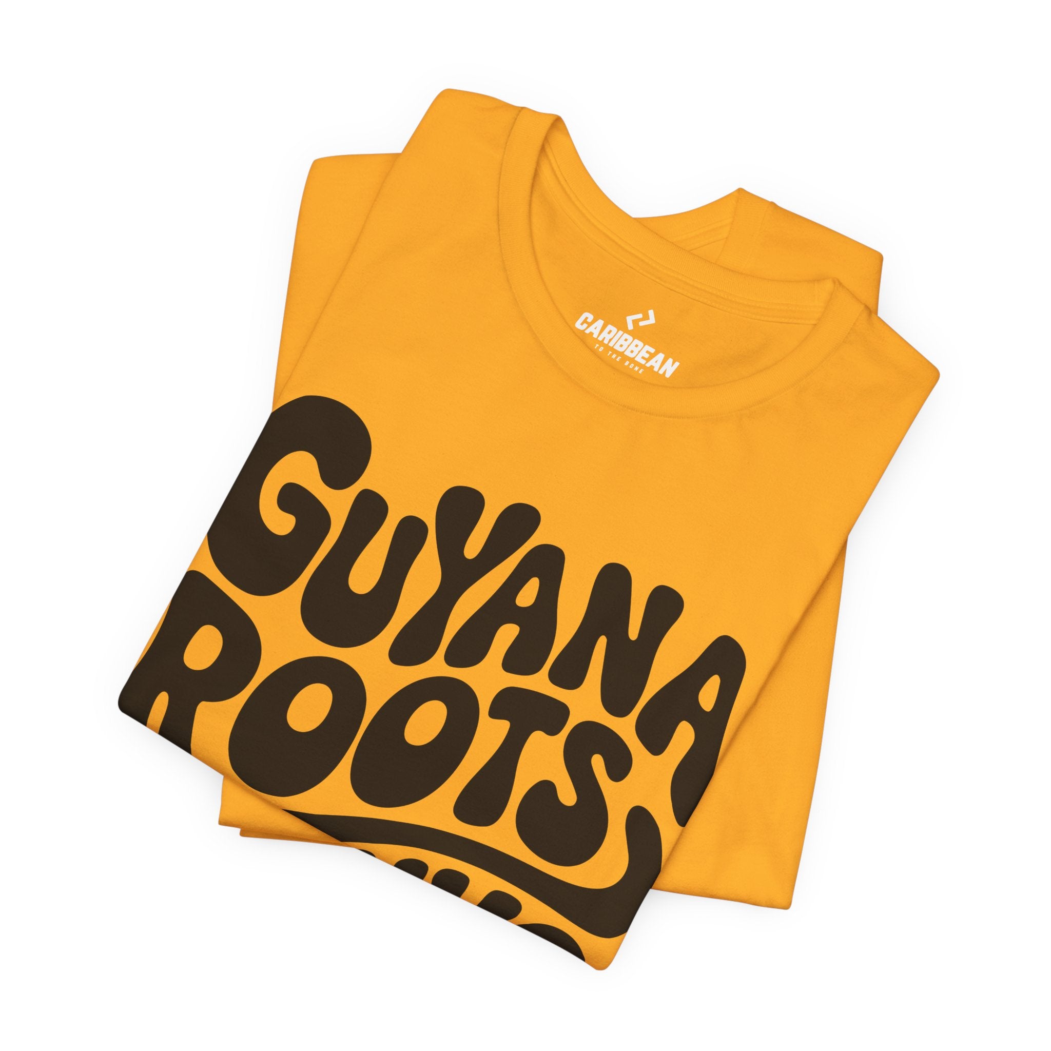 Guyana Roots // NYC Streets