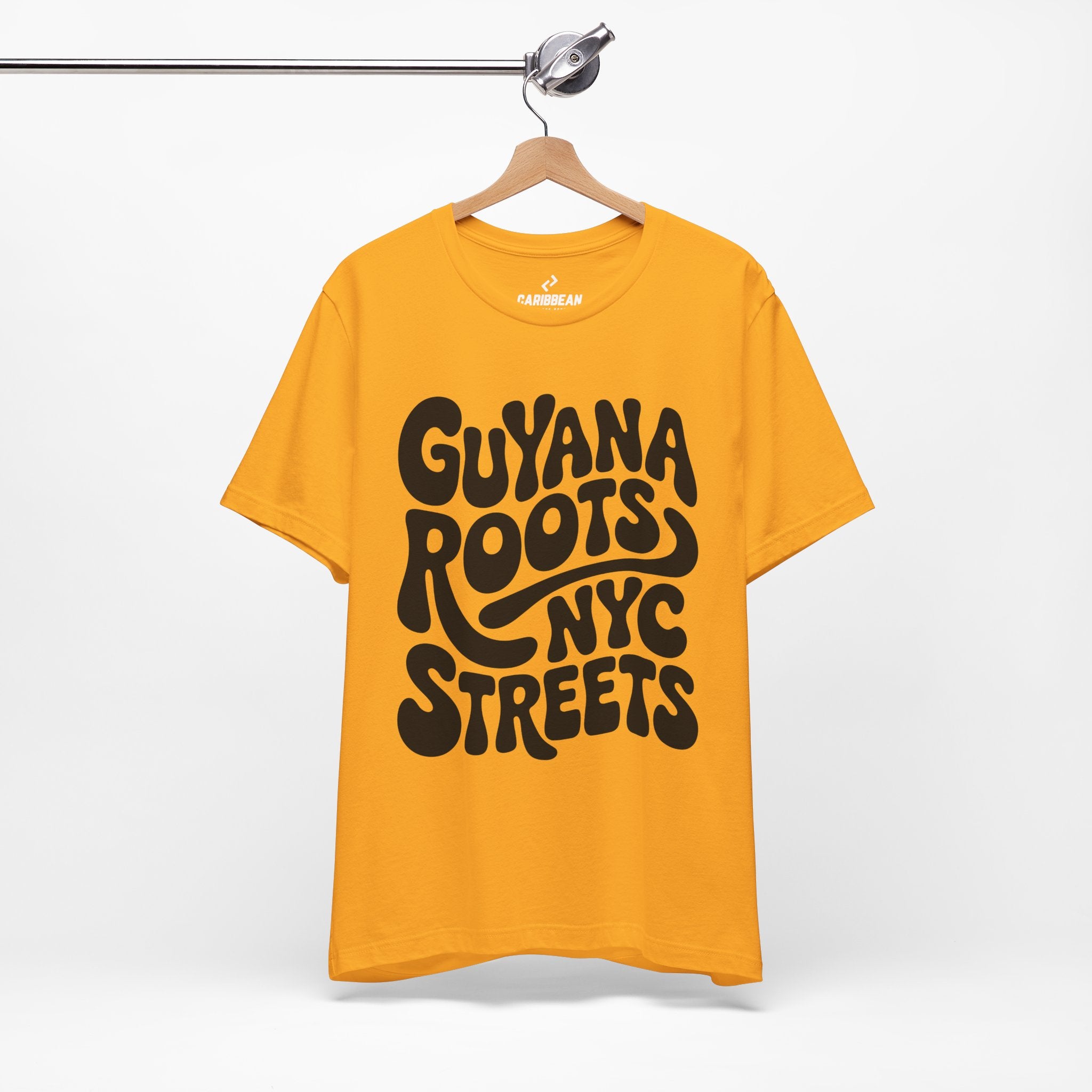 Guyana Roots // NYC Streets