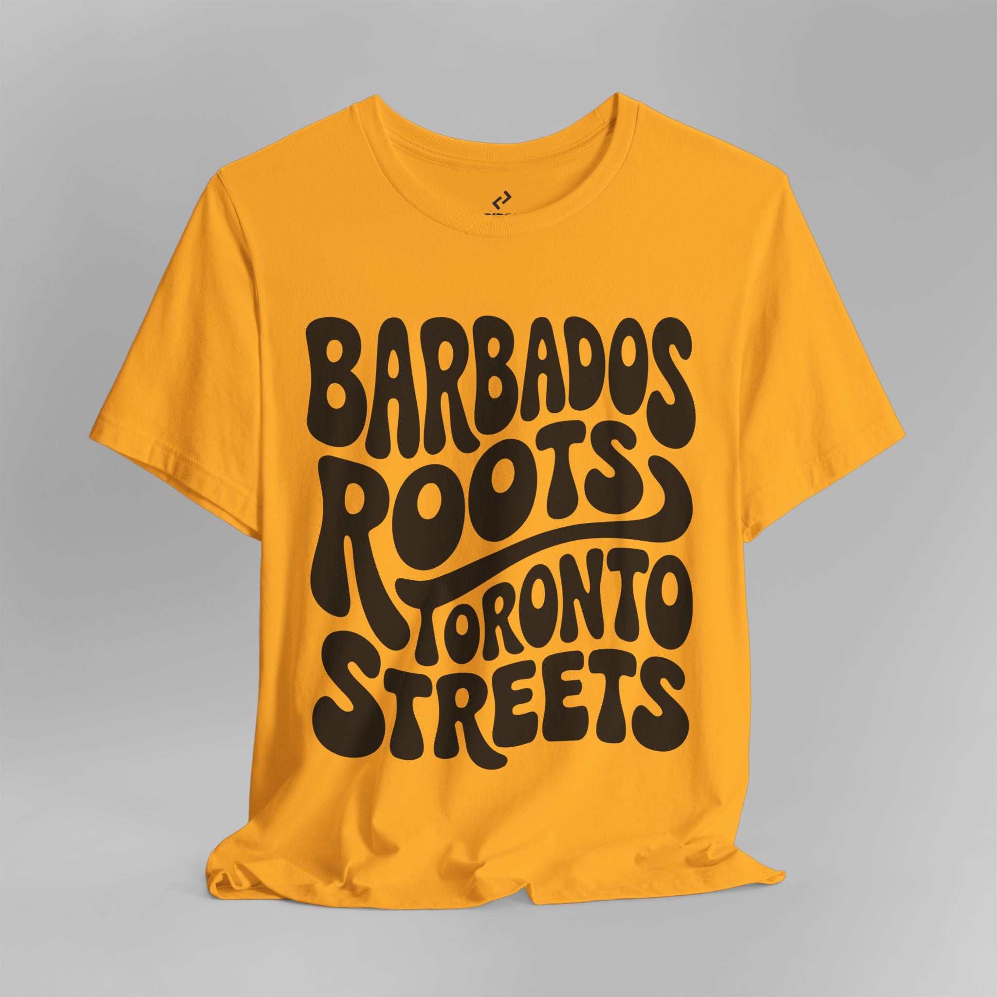 Barbados Roots // Toronto Streets