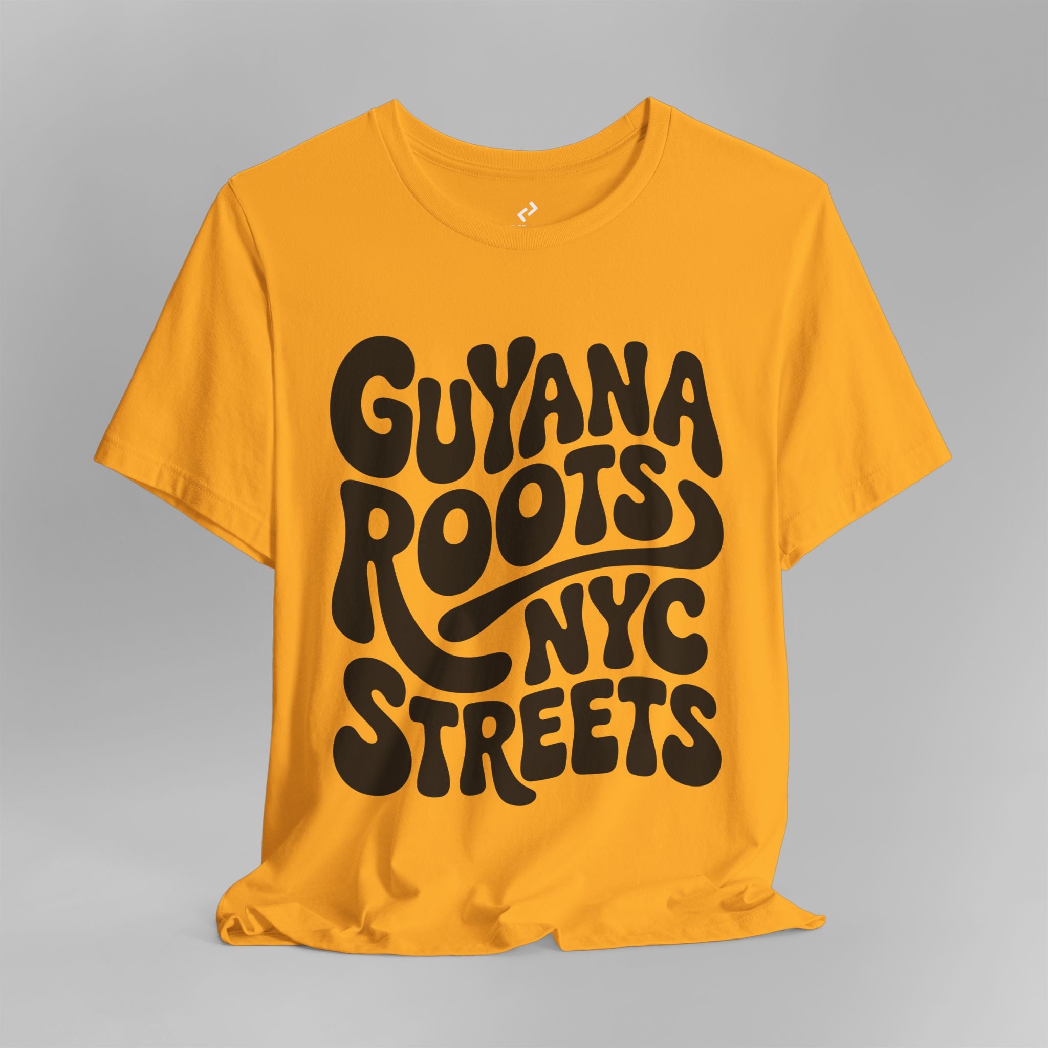 Guyana Roots // NYC Streets